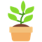 Potted Plant emoji on Microsoft